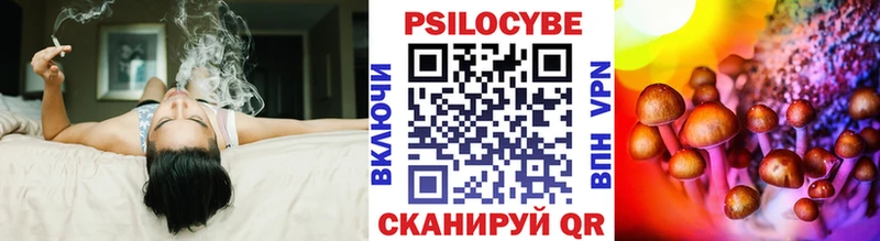 Галлюциногенные грибы Psilocybe  KRAKEN tor  Ясногорск  хочу наркоту 