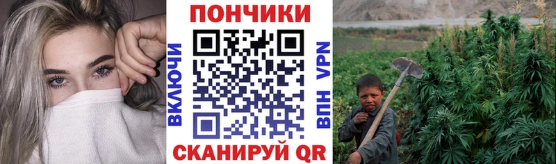гидра ССЫЛКА  Ясногорск  Каннабис THC 21% 